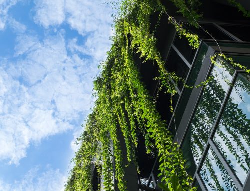 Sustainable Hotels: Learnings from Designing a Carbon-Positive Hotel