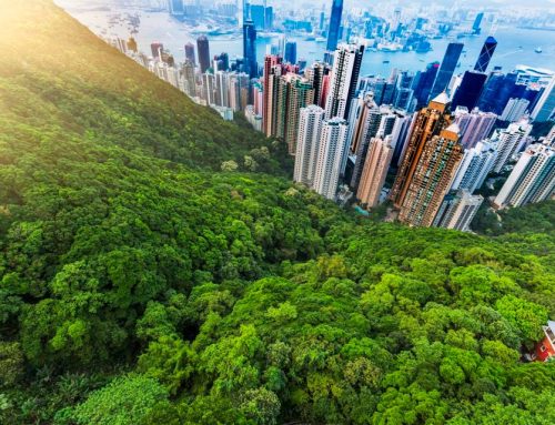 The Increased Importance Of Environmental Sustainability In Real Estate